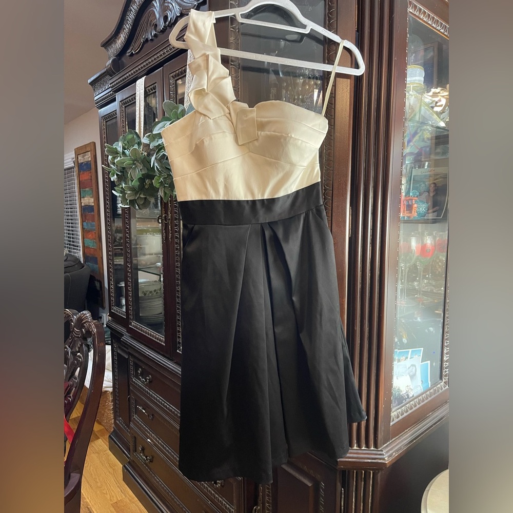 Max & Cleo One Shoulder Black and Cream Dress